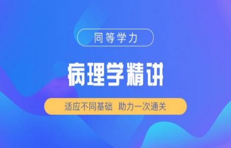病理学精讲